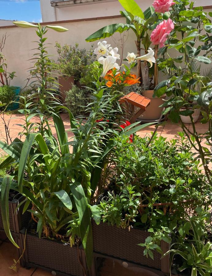 Apartament Figueres Center Zewnętrze zdjęcie
