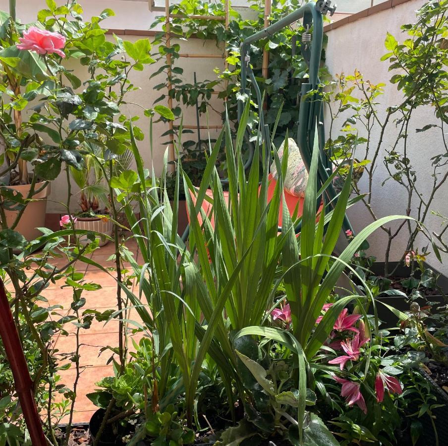 Apartament Figueres Center Zewnętrze zdjęcie